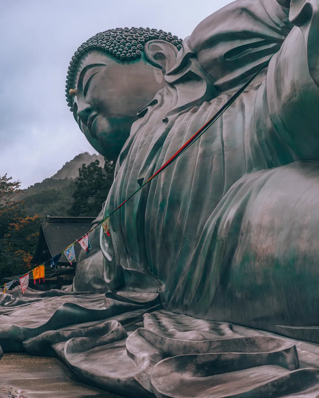 🏯 젠코지 토카이 별원 (젠코지 토카이 베쓰인) 이미지 8